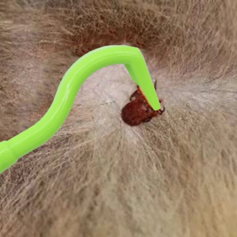 Dog Tick Removal Tool Set – Flea and Lice Grooming Tools