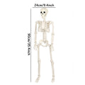 Movable Halloween Skeleton – Skull and Bones Decoration
