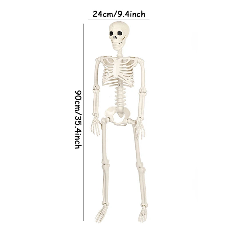 Movable Skeleton Decoration – Halloween Skull & Bones Prop
