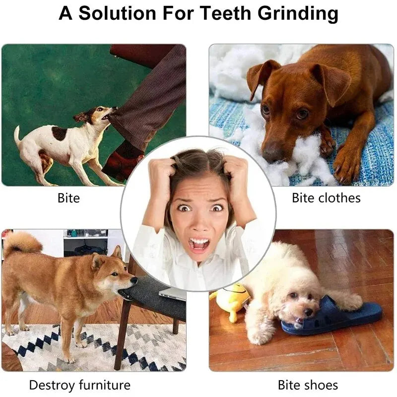 Rubber Dog Treat Ball – Chew Toy for Teeth Cleaning