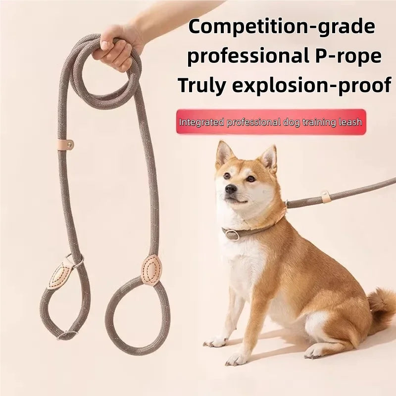 Dog Slip Lead Leash – Adjustable Braided Rope for Small Dogs