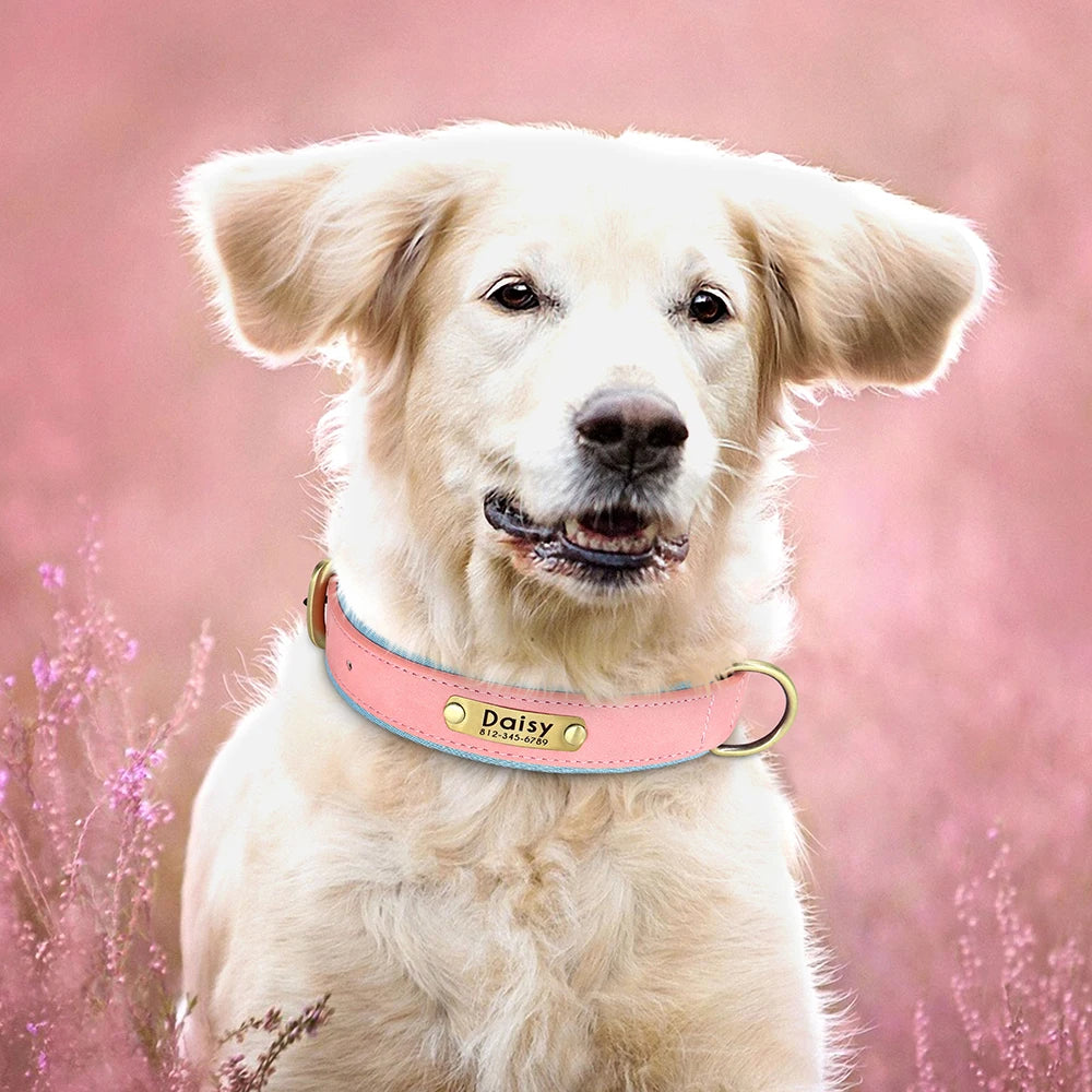 Personalized Dog Collar and Leash Set – PU Leather ID