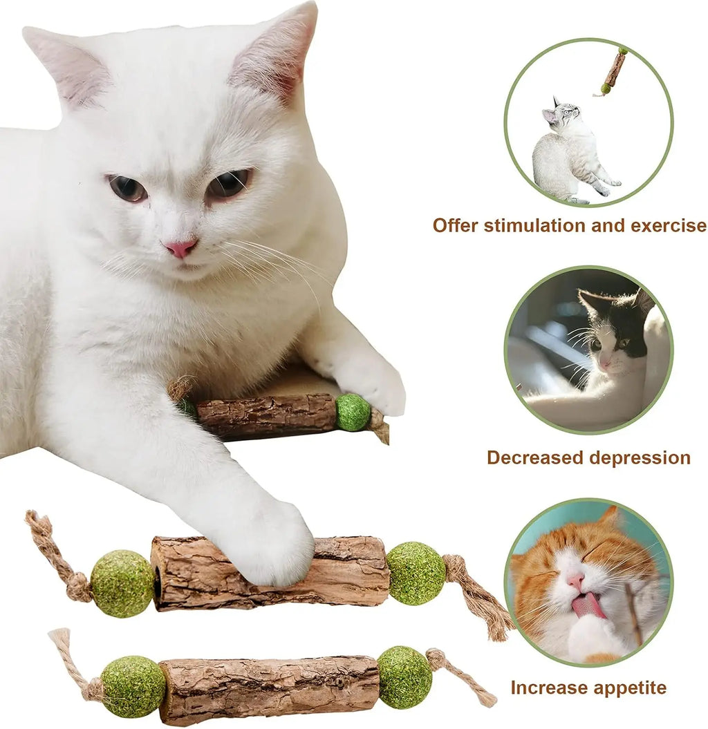 1pc Cat Cleaning Teeth Pure Natural Catnip Cat Molar Toothpaste Stick Silvervine Actinidia Fruit Matatabi Cat Snack Stick