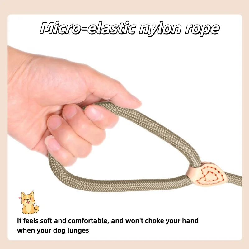 Dog Slip Lead Leash – Adjustable Braided Rope for Small Dogs