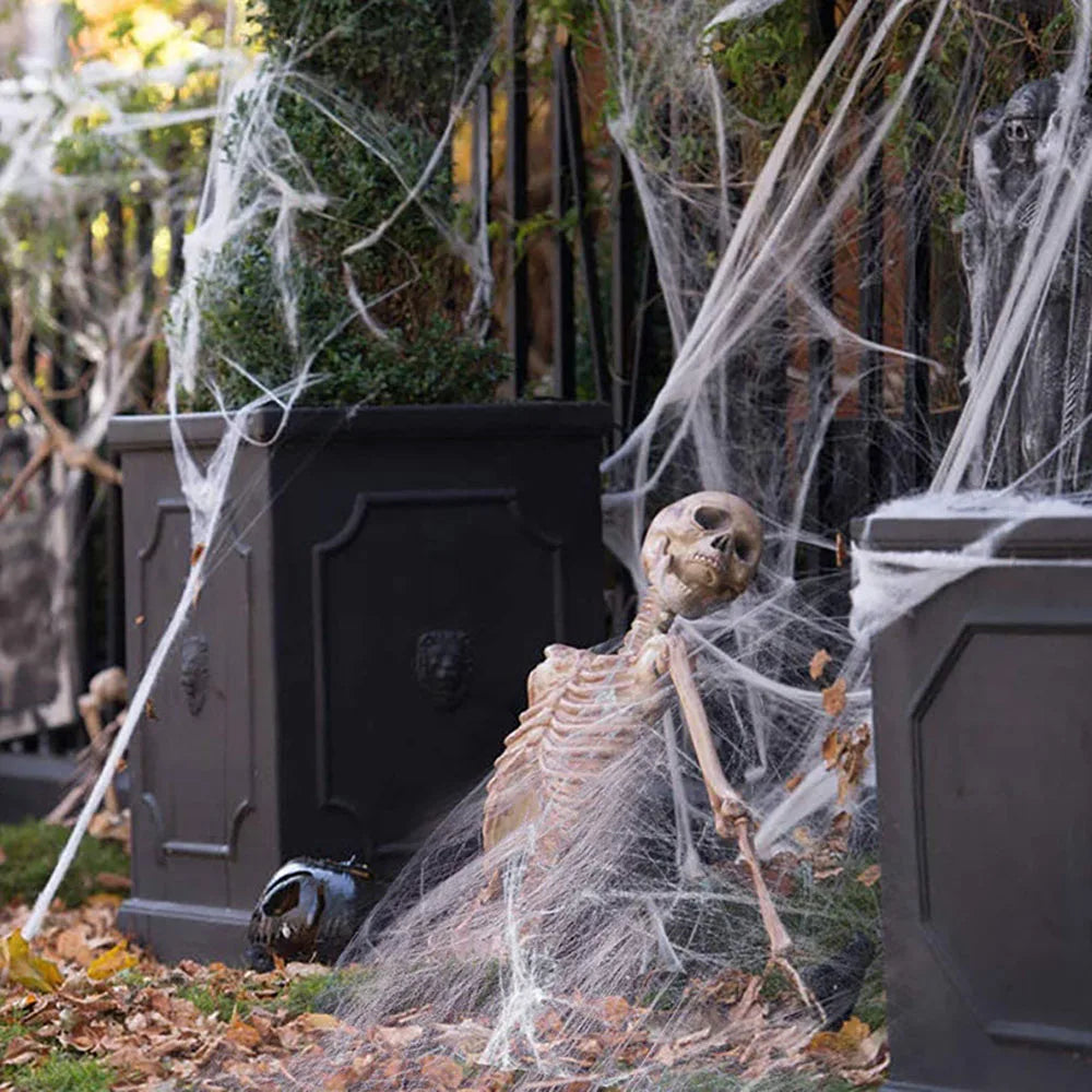 Artificial Halloween Spider Web with Spider Decoration