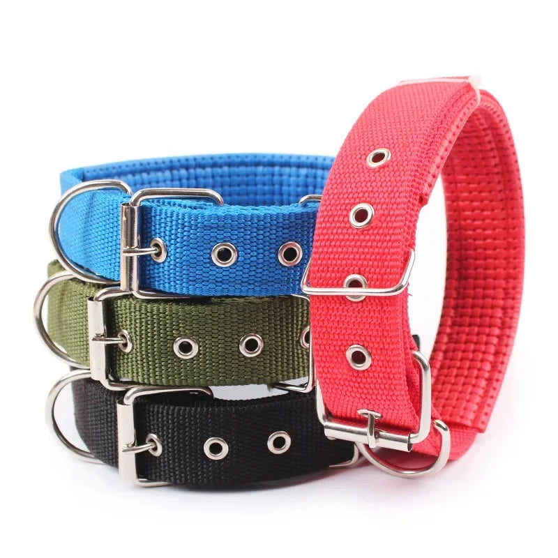 Adjustable Nylon Dog Collar for Small, Medium & Large Dogs