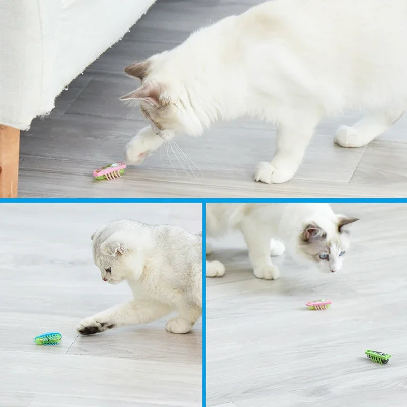 Electric Bug Cat Toy – Moving Ladybug Insect with Battery