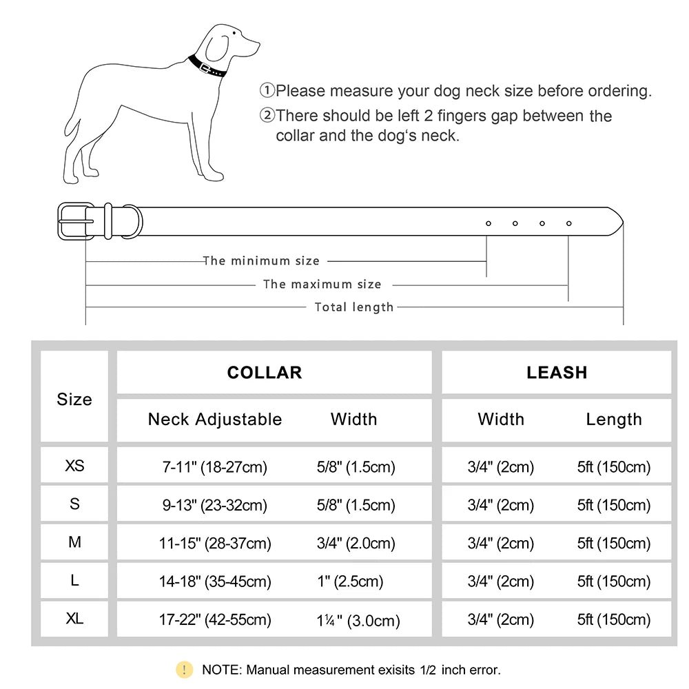 Personalized Leather Dog Collar – Engraved Nameplate & Leash Set