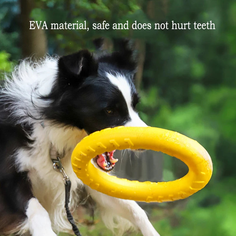EVA Dog Toy Set – 4-Pack with Ball, Flying Disc and Tug Rope