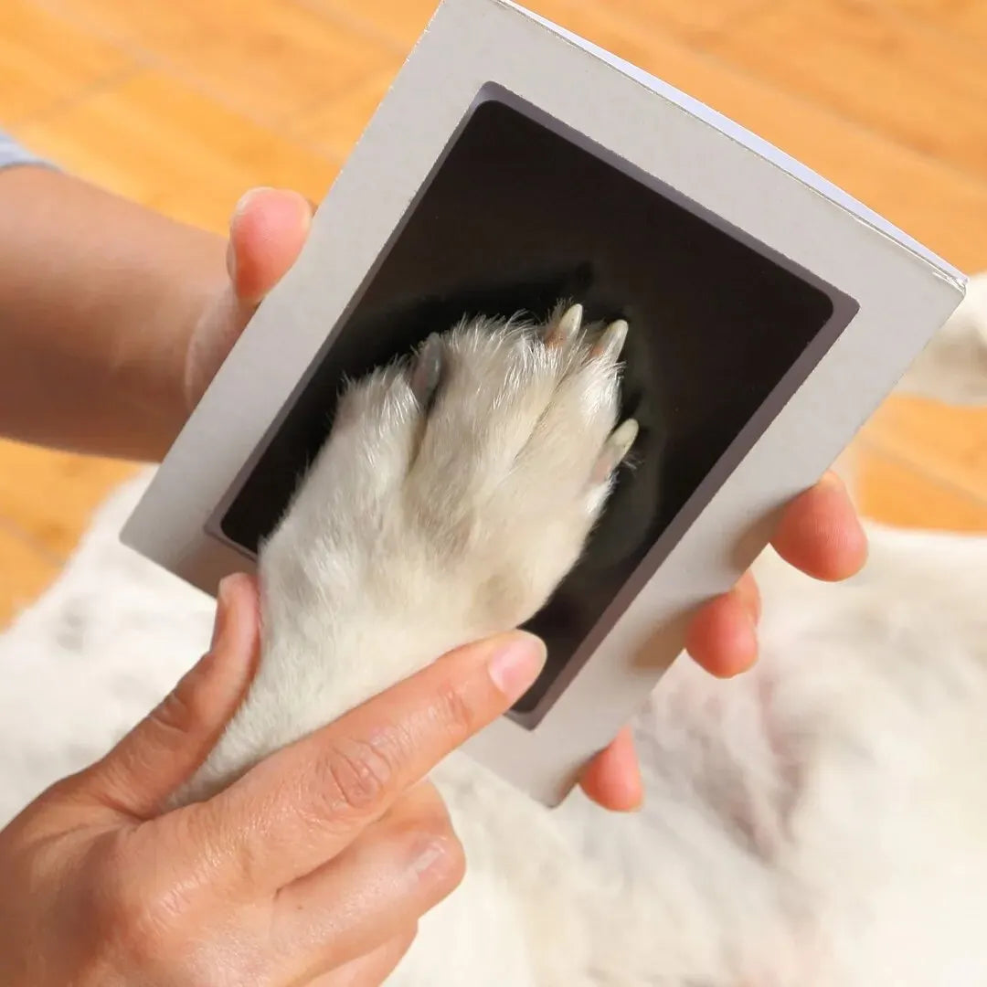 Inkless Paw Print Kit for Dogs and Cats, Clean Touch Keepsake