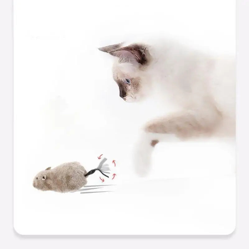 Plush Mouse Cat Toy – Realistic Rat Pet Toy