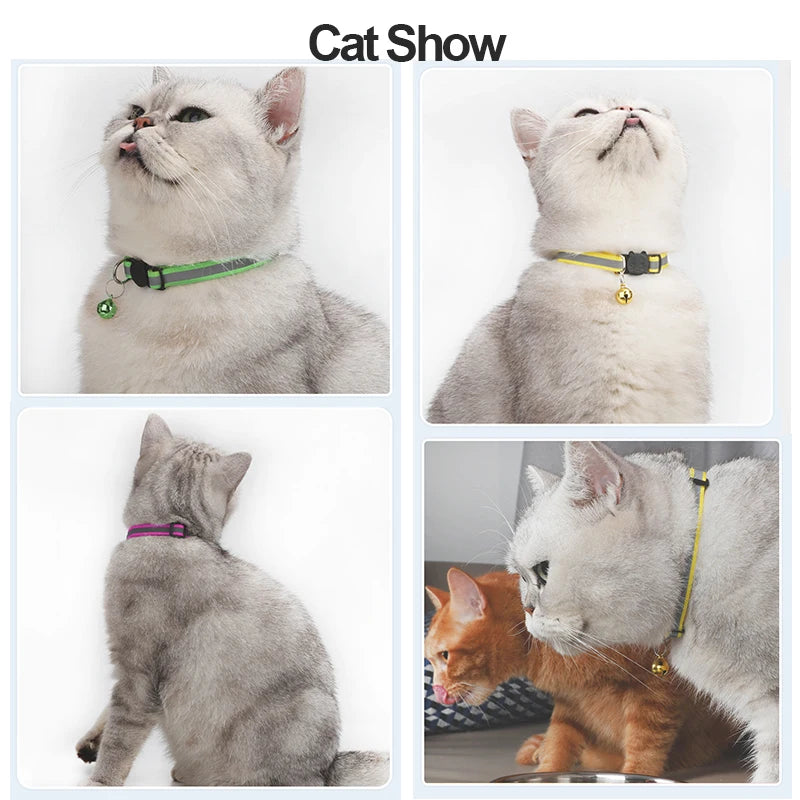 Reflective Cat Collar with Bell – Adjustable Safety Collar
