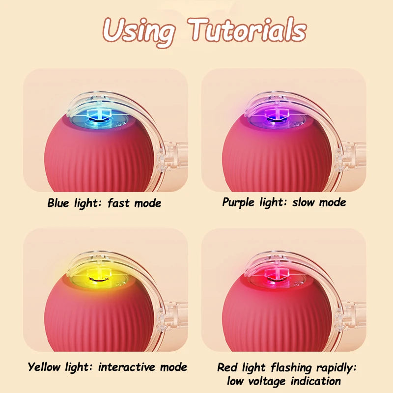 Interactive Cat Ball Toy, Rechargeable Automatic Rolling Pet Toy