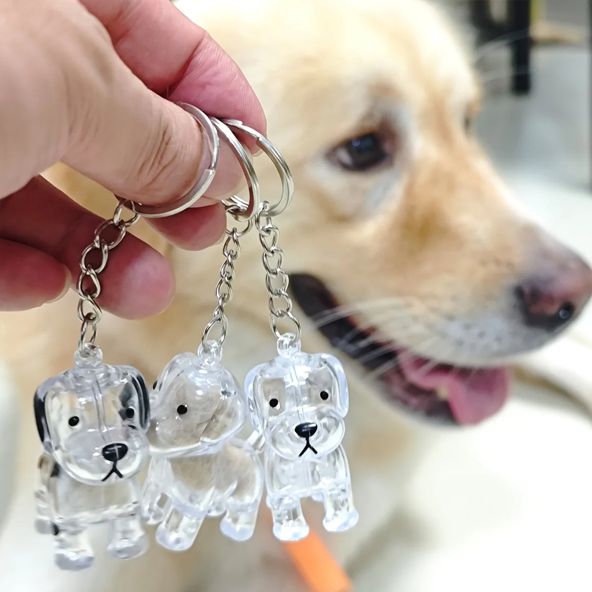 Pet Hair Memorial Keychain – Cat and Dog Keepsake Pendant