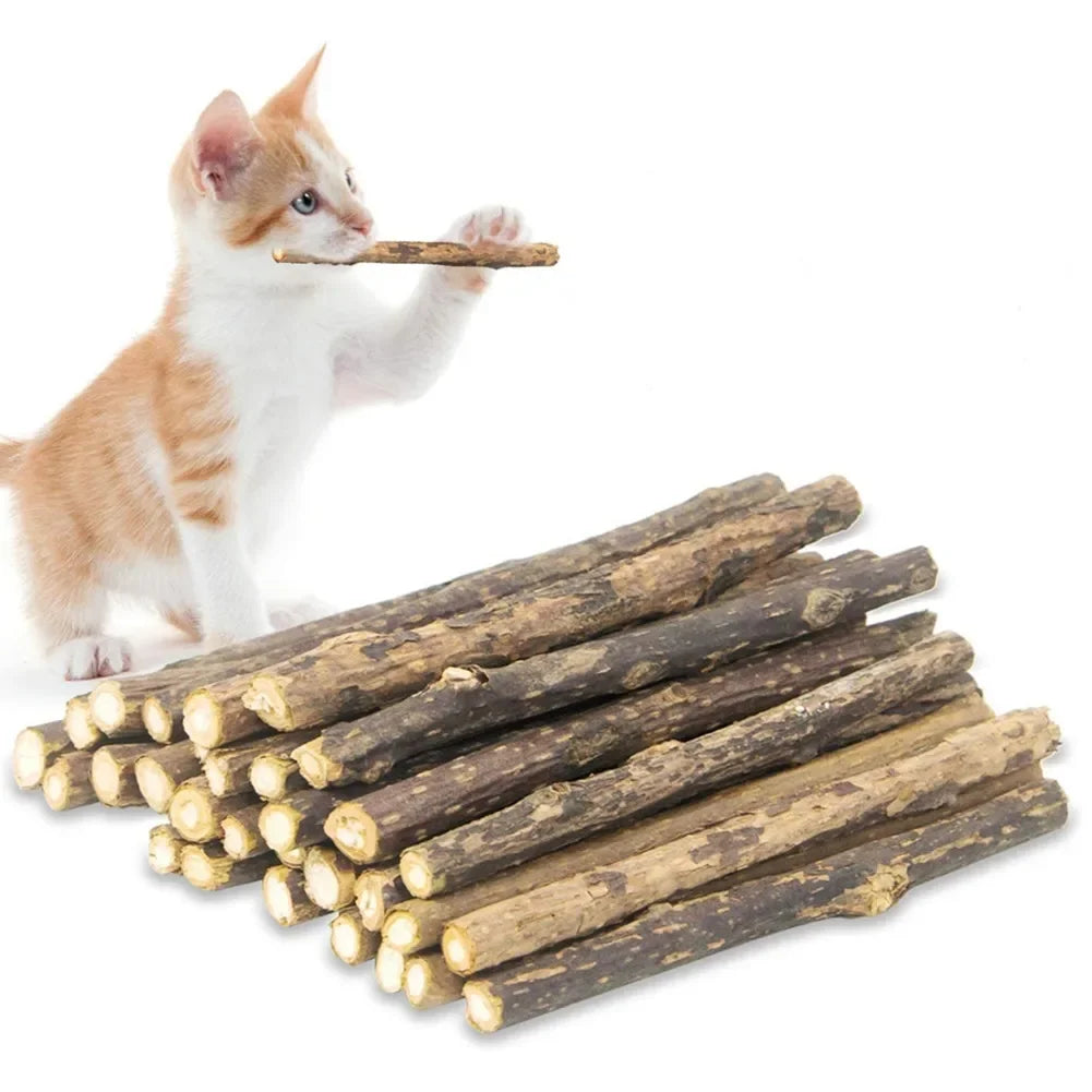 15pcs/30pcs Natural Matatabi Cat Catnip Toy Kitten Molar Chew Stick Pet Cleaning Teeth Cat Treat Toy Actinidia Silvervine