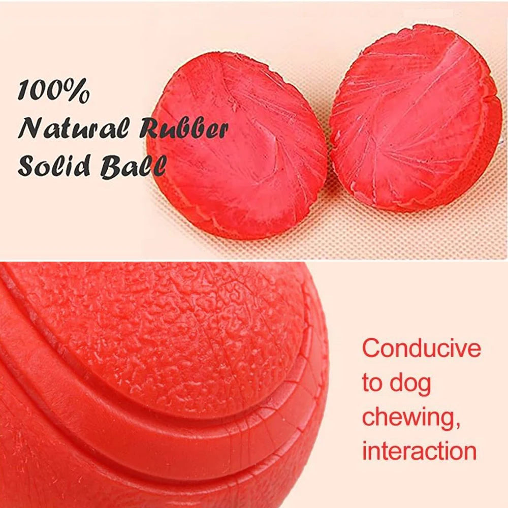 Rubber Dog Toy Ball – Chew-Resistant Pet Training Ball