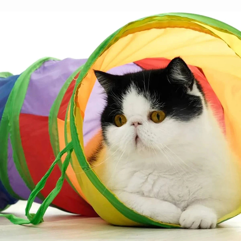 Foldable Cat Tunnel Toy for Indoor Play and Hiding