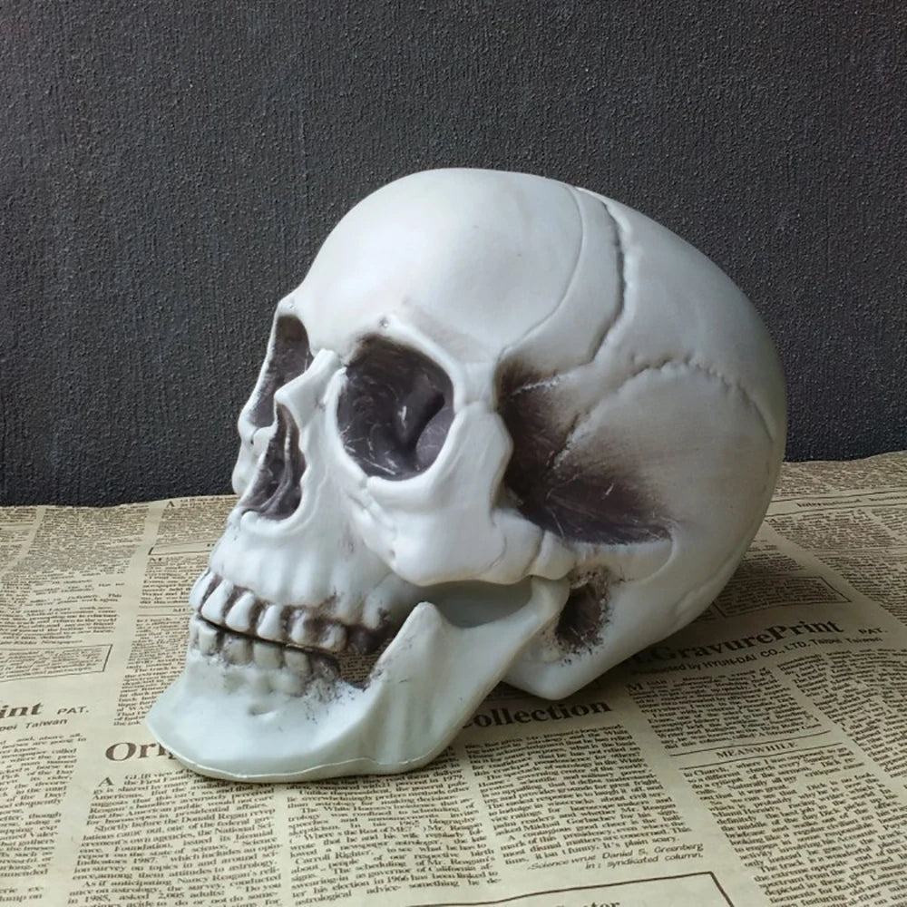 Halloween Skull Decoration – Realistic Skeleton Head Prop