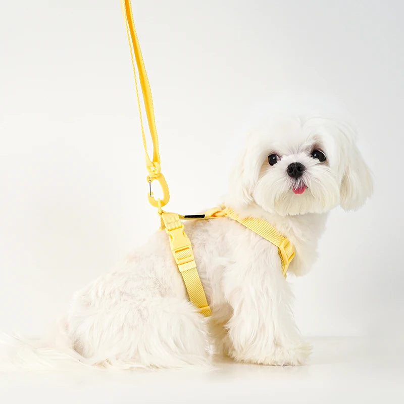 Adjustable Dog Harness and Leash Set – Reflective Pet Gear
