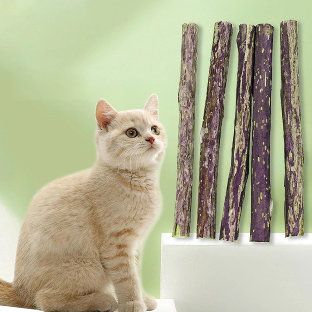 15pcs/30pcs Natural Matatabi Cat Catnip Toy Kitten Molar Chew Stick Pet Cleaning Teeth Cat Treat Toy Actinidia Silvervine