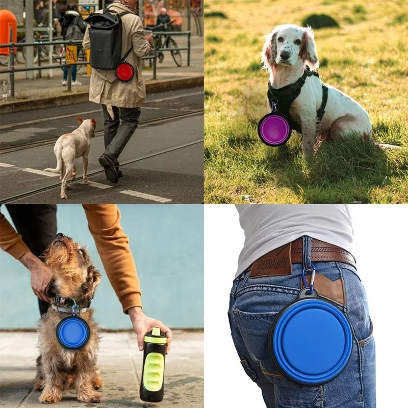 Collapsible Silicone Pet Travel Bowl for Dogs and Cats