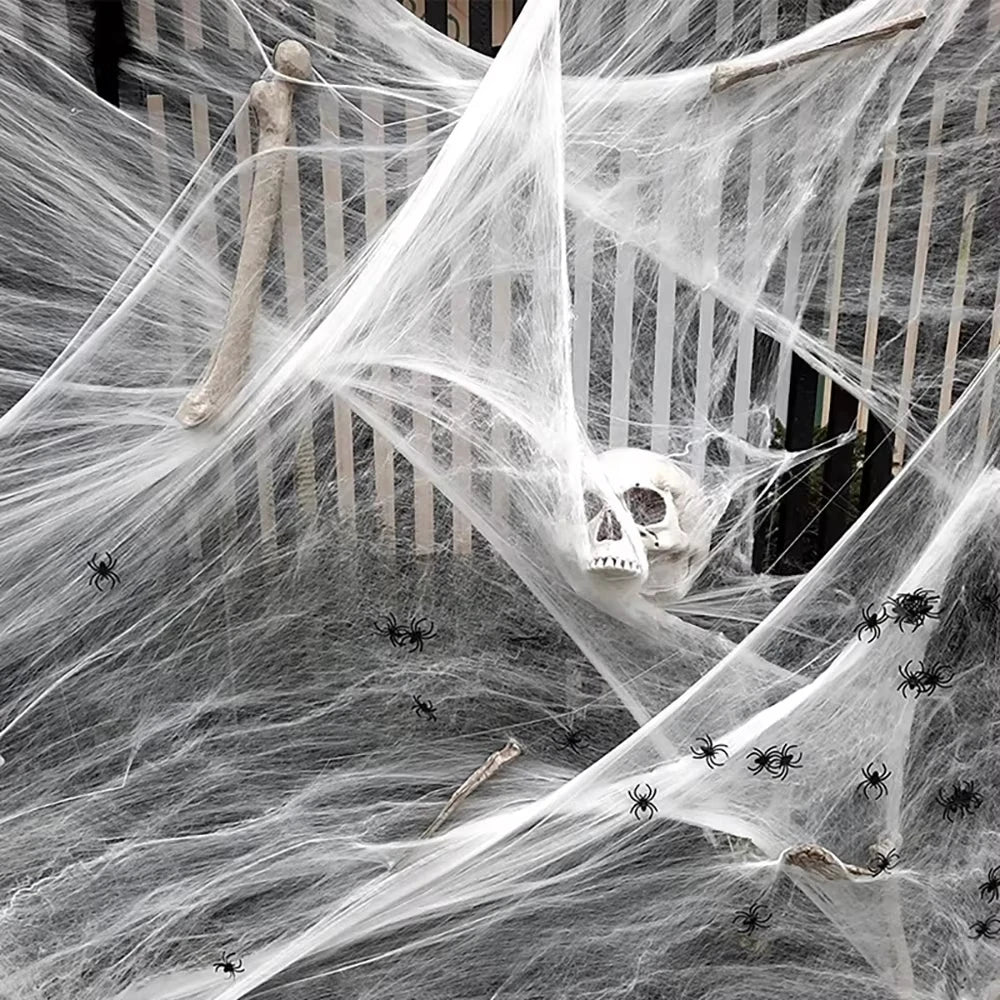 Artificial Halloween Spider Web with Spider Decoration