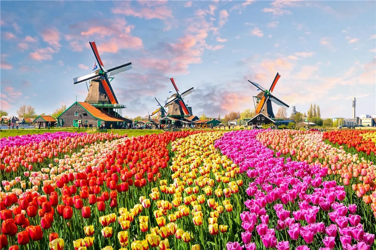 Landscape Jigsaw Puzzle 500 Piece Adult Art Paper Puzzle