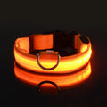 LED Light-Up Dog Collar – Nylon Night Safety Collar