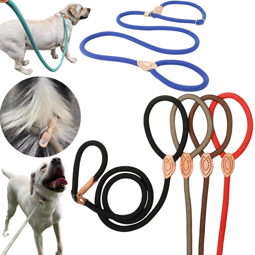 Dog Slip Lead Leash – Braided Rope Training Lead