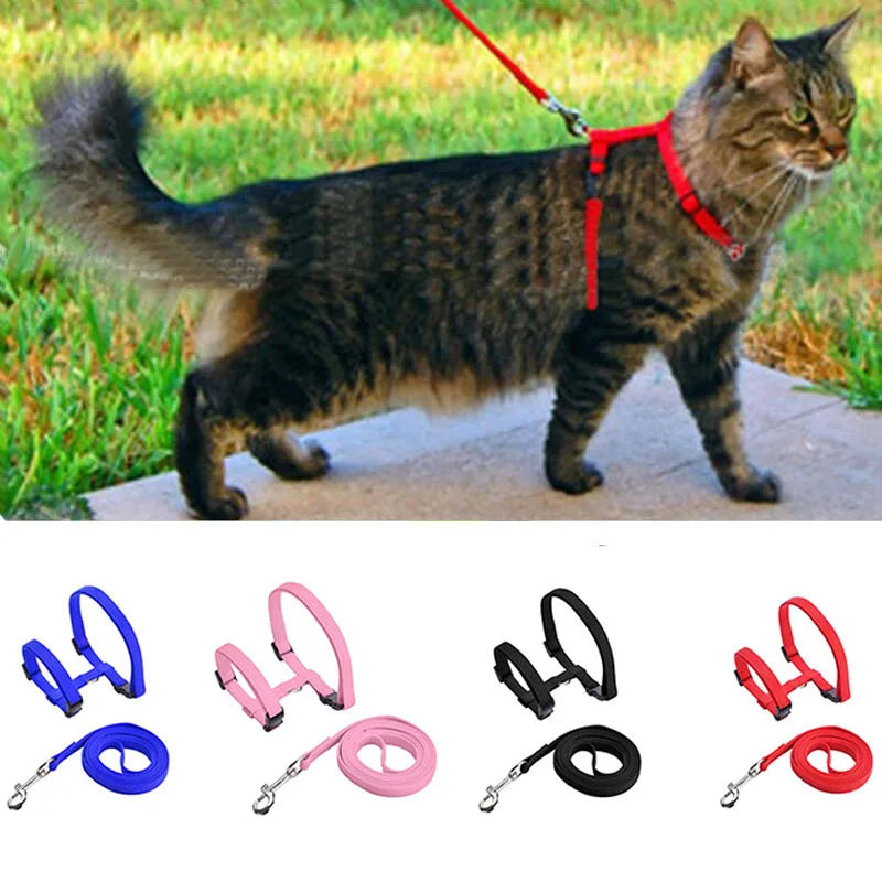 Cat Harness and Leash Set – Adjustable Nylon Walking Gear