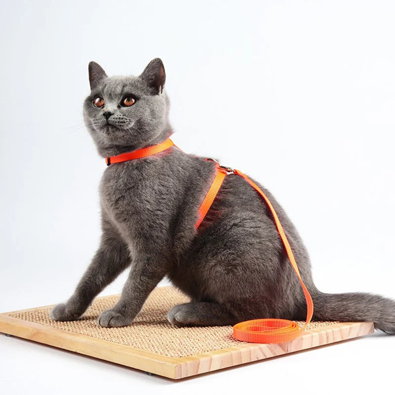 Cat Harness and Leash Set – Adjustable Nylon Walking Gear