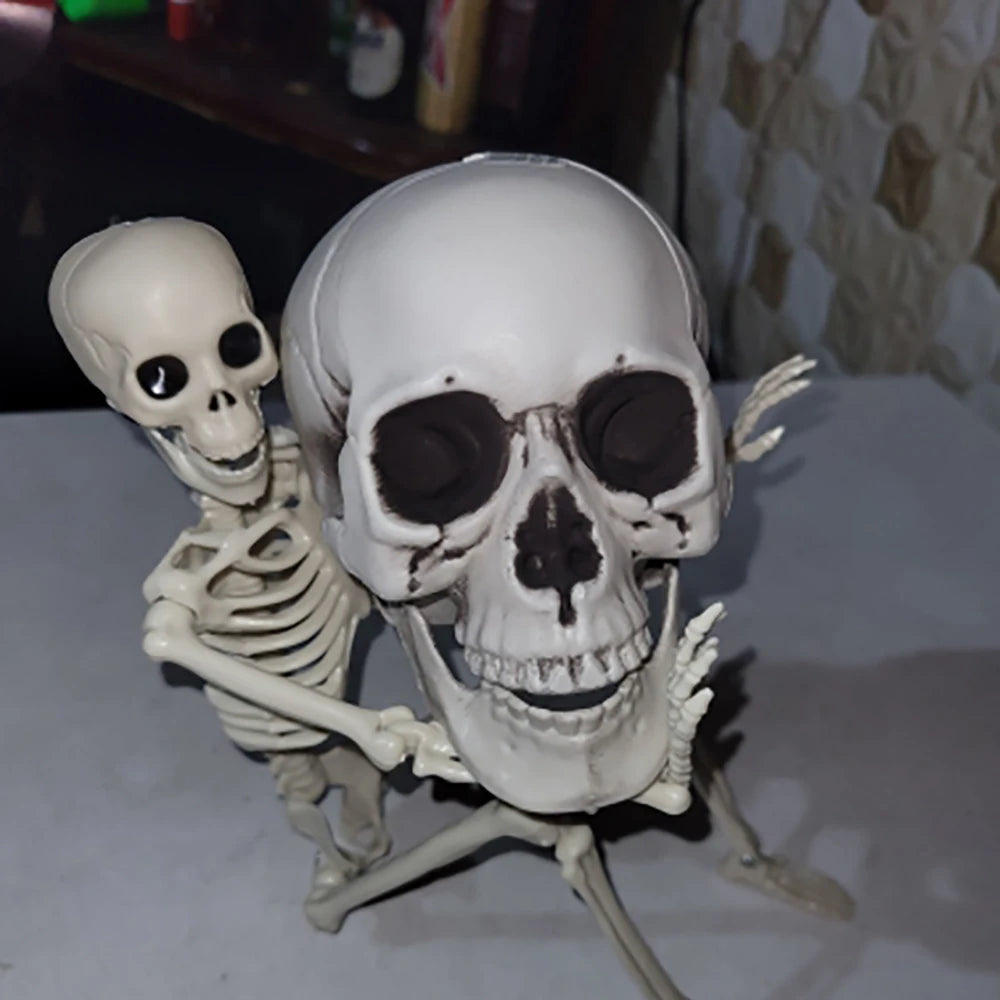 Halloween Skull Decoration – Realistic Skeleton Head Prop