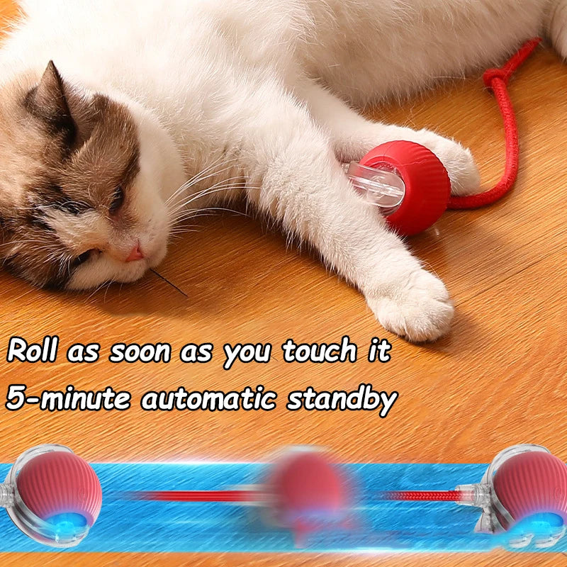 Interactive Cat Ball Toy, Rechargeable Automatic Rolling Pet Toy