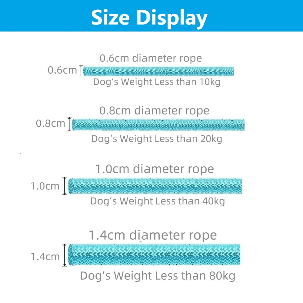 Dog Slip Lead Leash – Braided Rope Training Lead