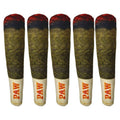 Cigar-Shaped Plush Dog Toy – Funny Squeaky Pet Toy