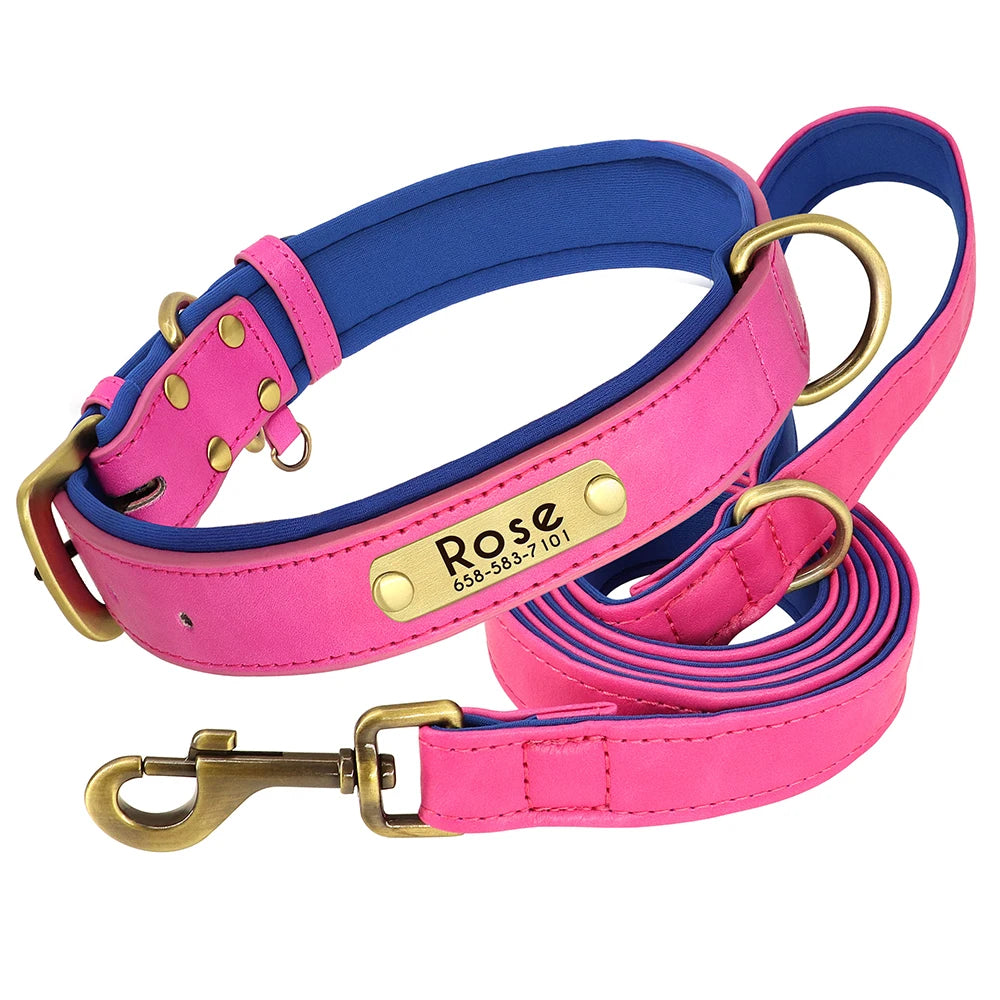 Personalized Leather Dog Collar – Engraved Nameplate & Leash Set