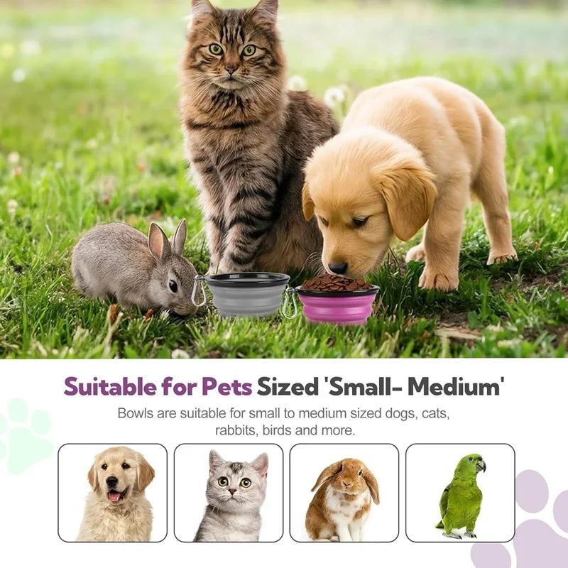 Collapsible Silicone Pet Travel Bowl for Dogs and Cats