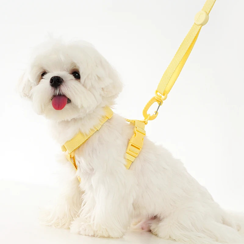 Adjustable Dog Harness and Leash Set – Reflective Pet Gear