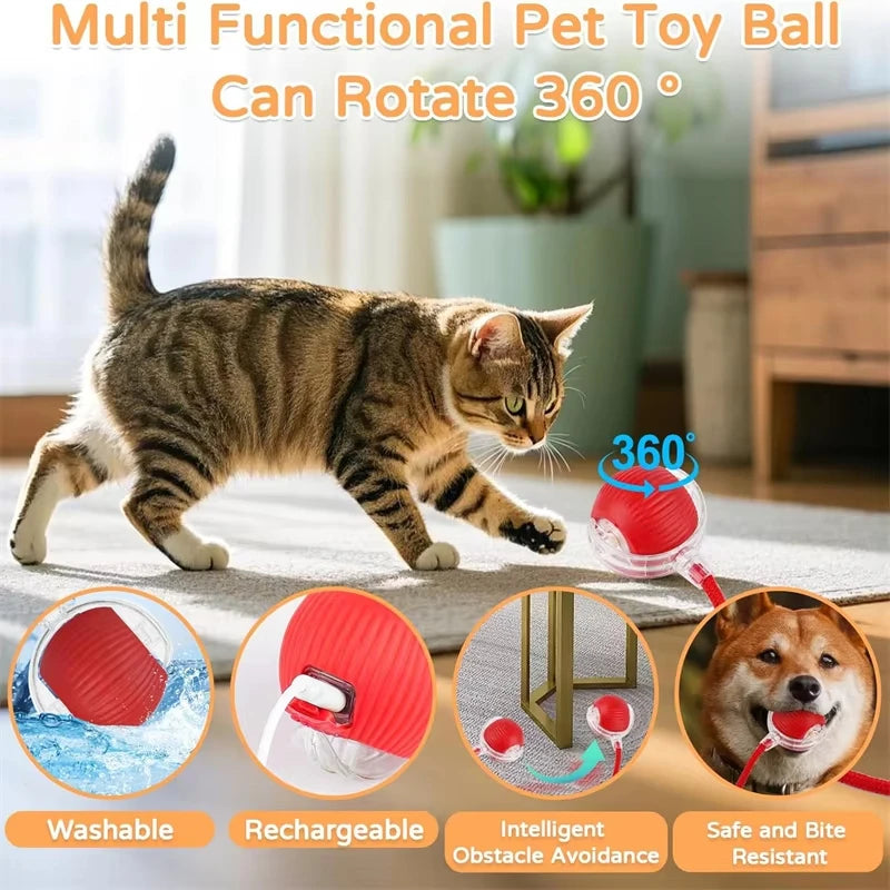 Interactive Cat Ball Toy, Rechargeable Automatic Rolling Pet Toy