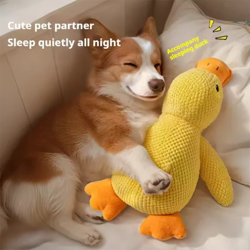 Duck Plush Dog Toy – Interactive Chew and Play Toy