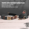Personalized Dog Collar Leash PU Leather Dog Collars With Walking Lead Rope Free Custom Pet ID Necklace for Small Large Dogs Pug