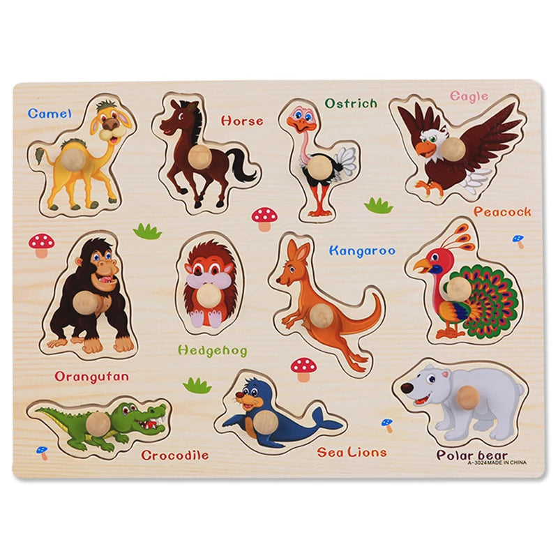 Montessori Wooden Puzzle Educational Shape Matching Toy
