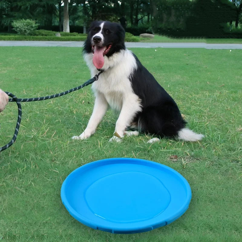 Silicone Flying Disc Pet Toy – Interactive Dog and Cat Frisbee