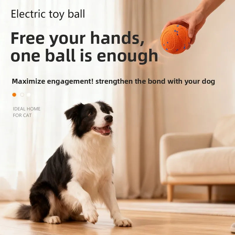Rechargeable Interactive Pet Ball Toy for Dogs and Cats