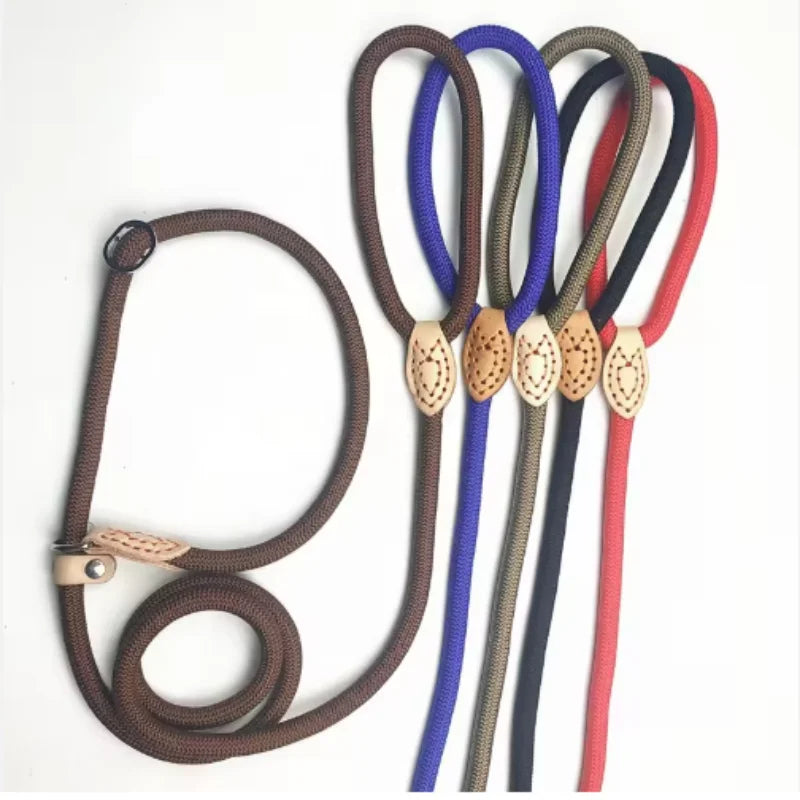 Dog Leash Slip Rope Lead Leash Heavy Duty Braided Rope Adjustable Loop Collar Training Leashes for Small Medium Dogs