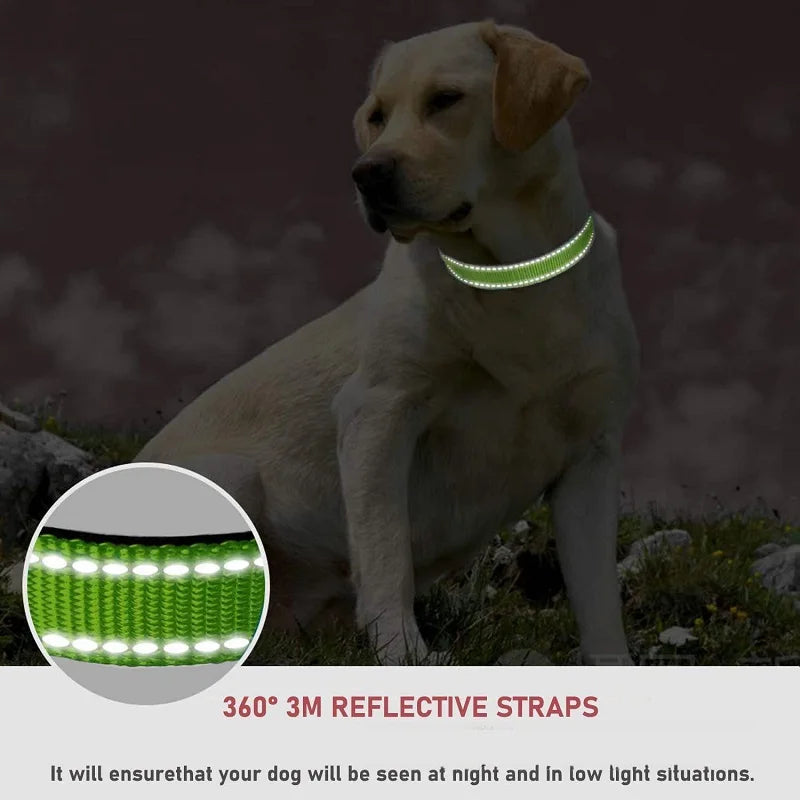 Nylon Dog Collar with Buckle – Adjustable Puppy Neck Collar