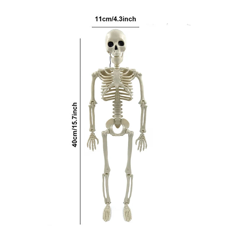 Movable Halloween Skeleton – Skull and Bones Decoration