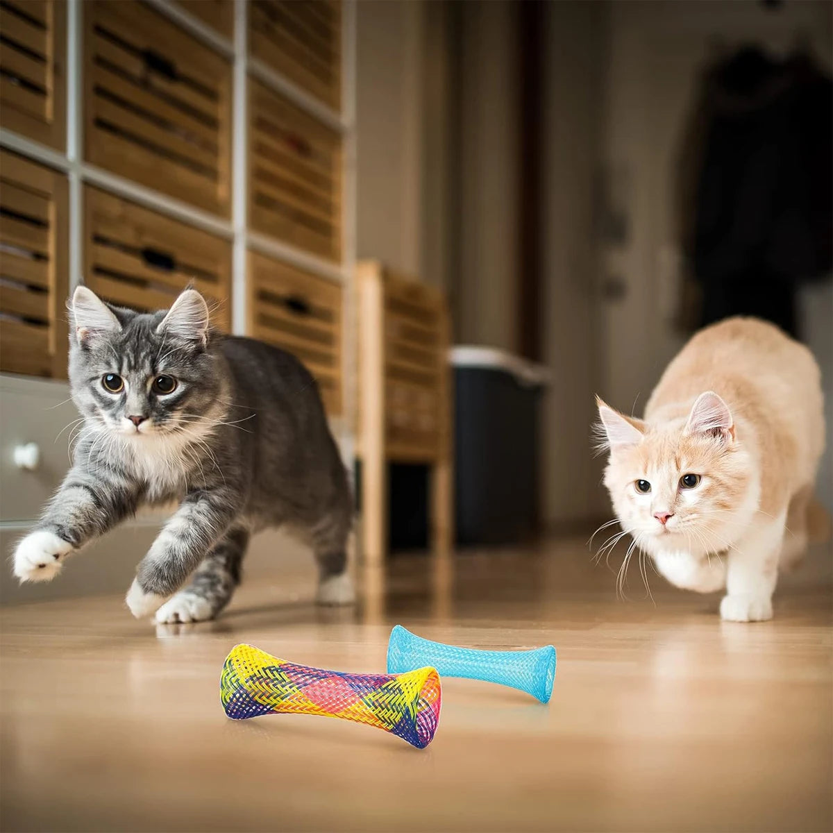 Cat Folding Spring Shape Colorful Toy Interactive Tear Stick Stuff for Cats Toys Pets Accessories Pet Catlove Kitten Things Home