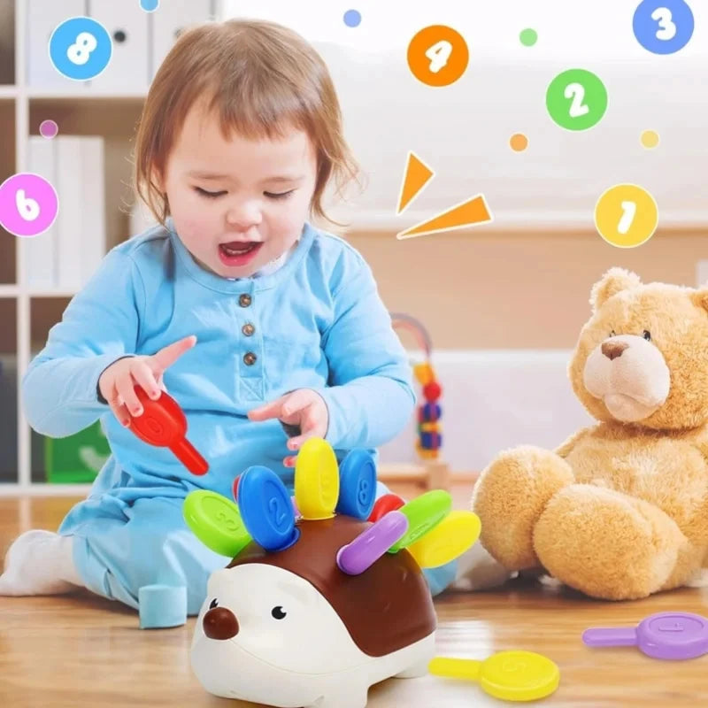 Sensory Hedgehog Toy – Montessori Fine Motor Learning Toy