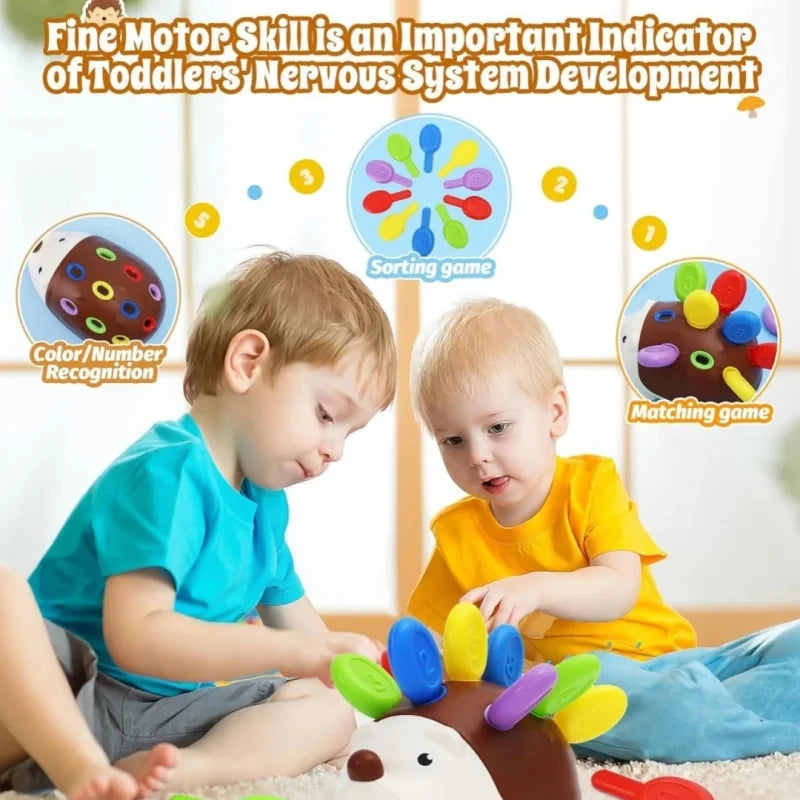 Sensory Hedgehog Toy – Montessori Fine Motor Learning Toy